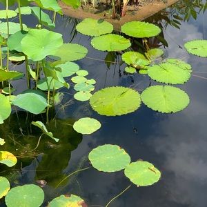 Meet your Posher, Javier